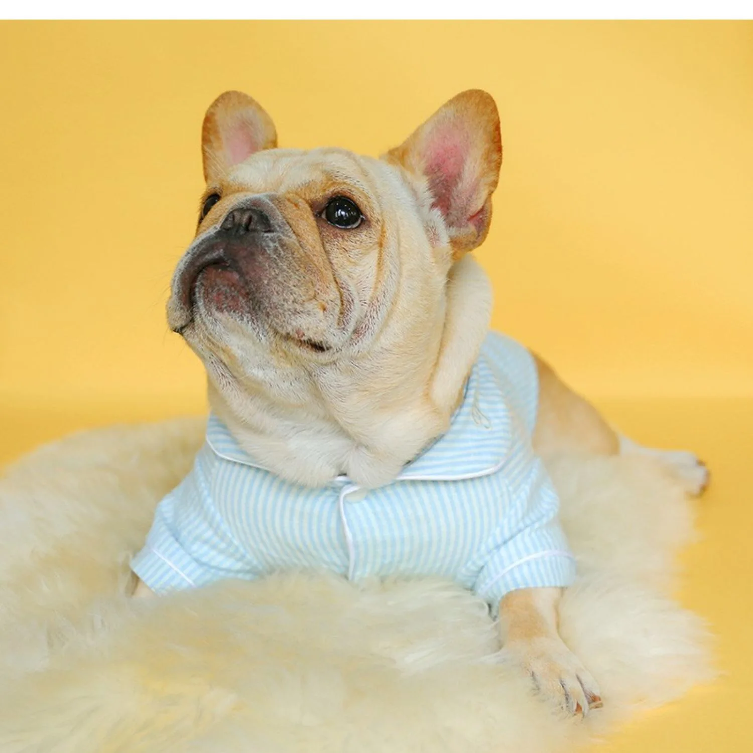 Pet Kostīmu Kirkie Suņu Drēbes Pavasara un Vasaras Valkāt Plānas Svītrains Kaķis, Suns Krekli Pet Apģērbs