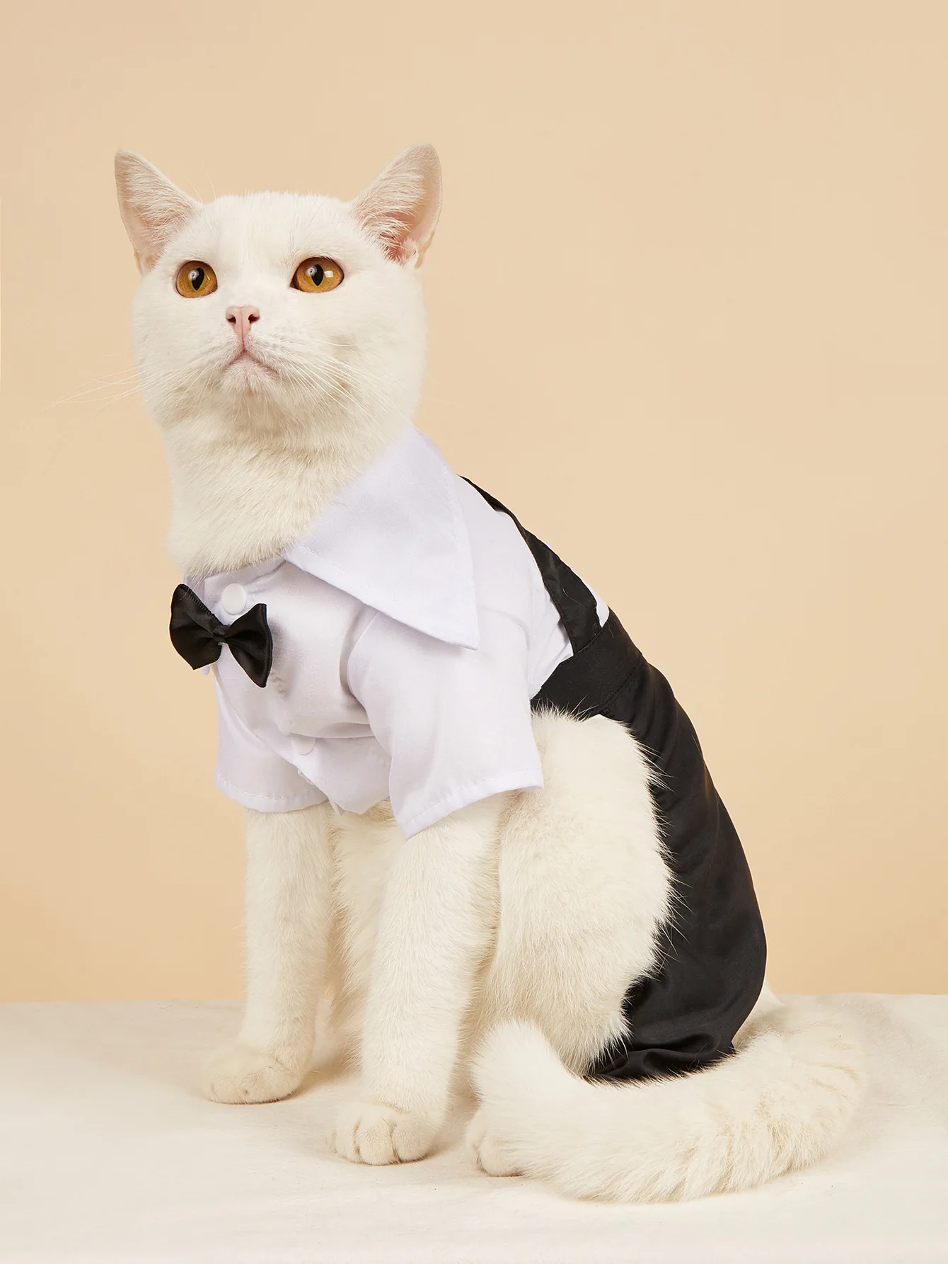 Pet Vīriešu Uzvalks Spilgti Apkakles Vīriešu Pet Cat Teddy Kucēnu Suņu Drēbes, Kāzu Foto viltus divdaļīga Krekls, Uzvalks Pet Apģērbi Attēls 1 