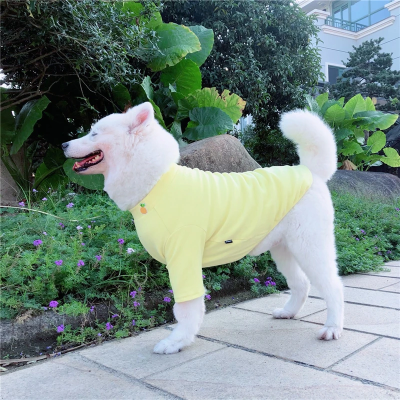 Milzu Suņu Apģērbu Izšūti Augļu Modelis Krekls Labradora Pūdelis Retrīvers